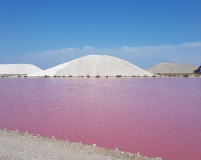 Il mare rosa della Camargue