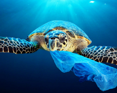 Siamo contenti di un mondo di plastica?