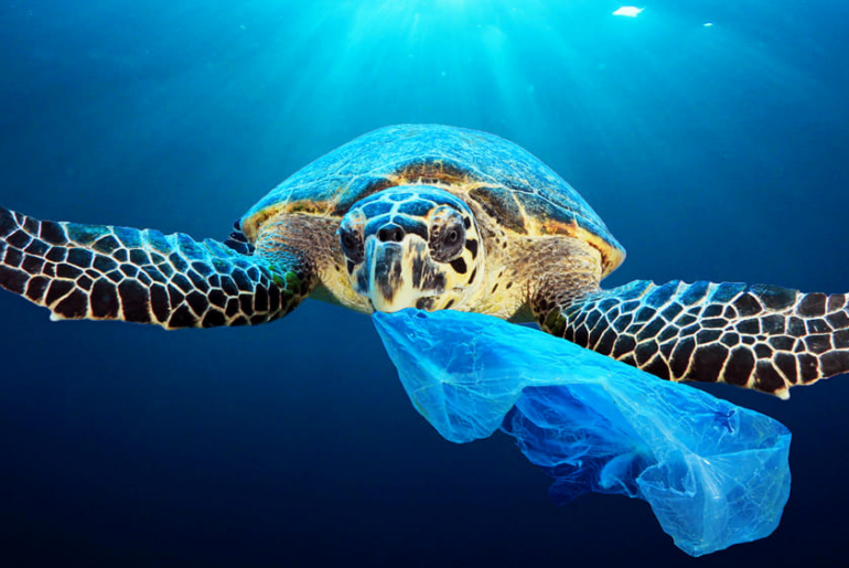 Siamo contenti di un mondo di plastica?